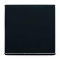 Wippe 1-fach f�r Schalter/Taster anthrazit - Plattform 63