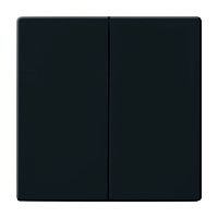 Wippe 2-fach f�r Serienschalter anthrazit - Plattform 63