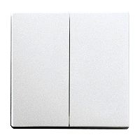 Wippe 2-fach f�r Serienschalter alusilber - Plattform 63