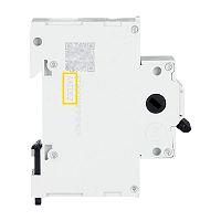 Hauptschalter, 2p, 400V, 63A