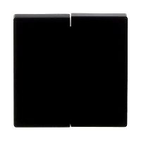 Wippe 2-fach f�r Serienschalter schwarz matt - Plattform 63