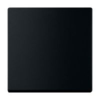 Wippe 1-fach f�r Schalter/Taster schwarz matt - Plattform 63