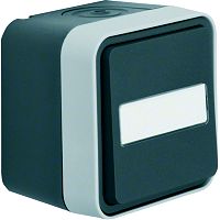 W.1 IP55 Taster mit mittigem Beschriftungsfeld grau/lichtgra