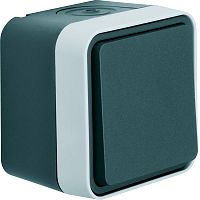W.1 IP55 Taster mit Schlie�ergrau/lichtgrau matt