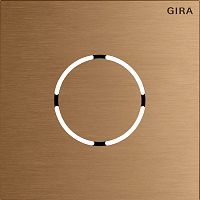 Frontpl. Sprachmodul System 106 Bronze