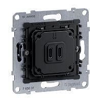 SEANO Einsatz 2-fach USB-Ladesteckdose Typ C+C 30 W mit Powe