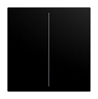 Abdeckung f�r Keypad 2-fach schwarz matt - balance�SI