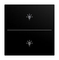 Abdeckung f�r Keypad 2-fach mit Symbol Licht schwarz matt -