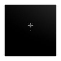 Wippe 1-fach f�r flex, f@h, KNX mit Symbol Licht schwarz mat
