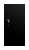 Wippe 2-fach f�r flex, f@h, KNX rechts mit Symbol Licht schw