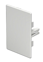 Endstck 60x90mm Polyvinylchlorid reinwei 9010